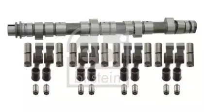 febibilstein-03129