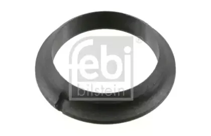 febibilstein-03385