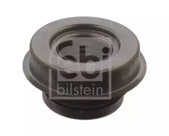 febibilstein-03478
