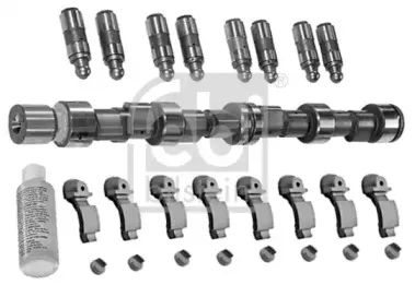 febibilstein-03534