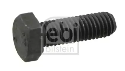febibilstein-04077