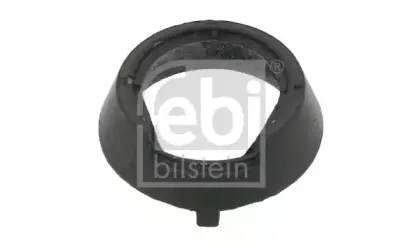 febibilstein-04192