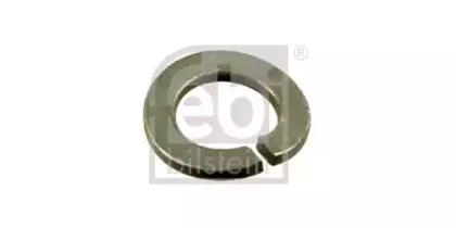 febibilstein-04355