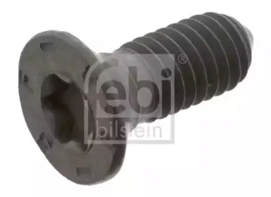 febibilstein-04511
