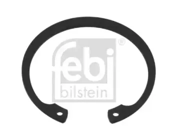 febibilstein-04687
