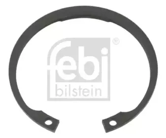 febibilstein-04853
