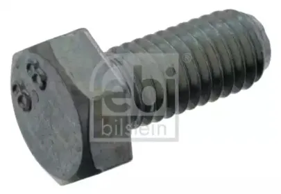 febibilstein-04859
