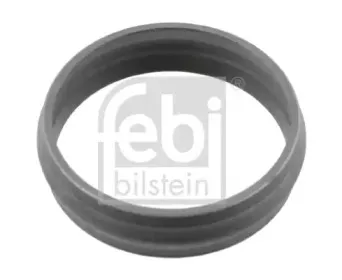 febibilstein-04932