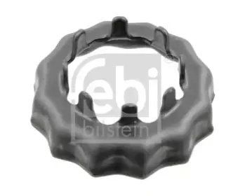 febibilstein-04991