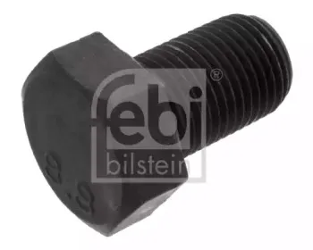 febibilstein-05206