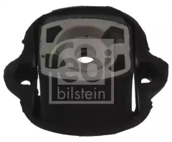 febibilstein-05232