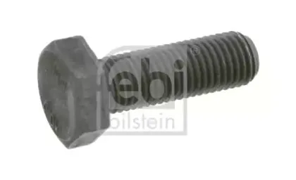 febibilstein-05272