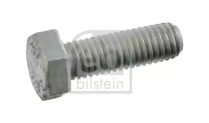 febibilstein-05274