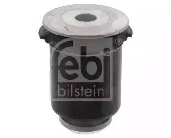 febibilstein-05399