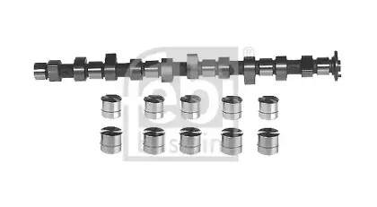 febibilstein-05444