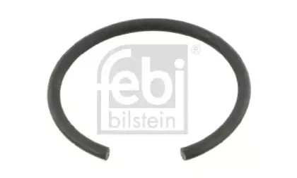 febibilstein-06065