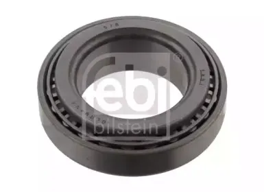 febibilstein-06176