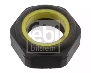 febibilstein-06243