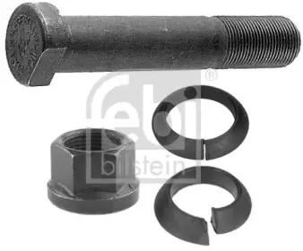febibilstein-06294