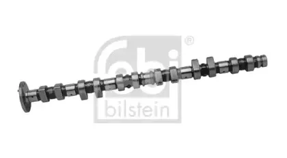 febibilstein-06651