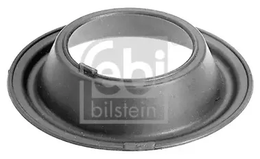 febibilstein-06677