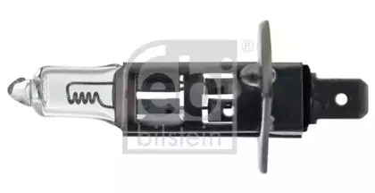 febibilstein-06691