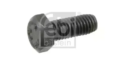 febibilstein-06862