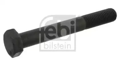 febibilstein-06883