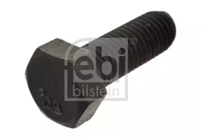 febibilstein-06884
