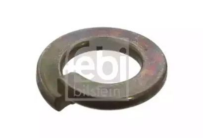 febibilstein-06885