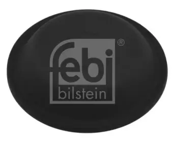 febibilstein-07098