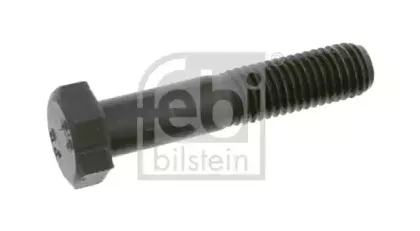 febibilstein-07250