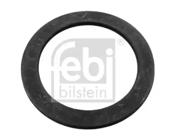 febibilstein-07253