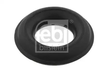 febibilstein-07393