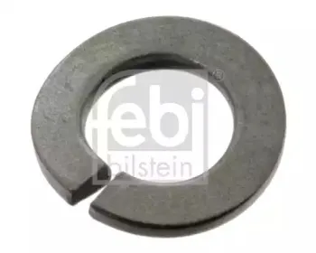 febibilstein-07583