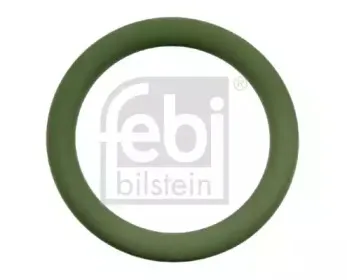 febibilstein-07593