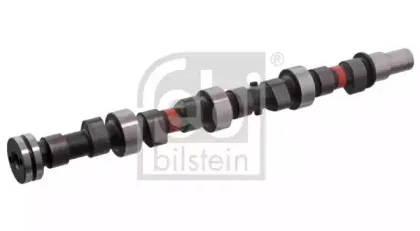 febibilstein-07675