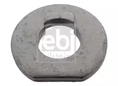 febibilstein-07755
