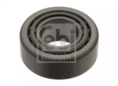 febibilstein-08152