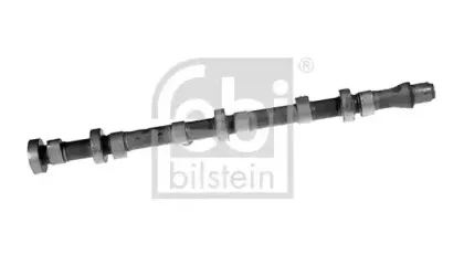 febibilstein-08247