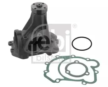 febibilstein-08756