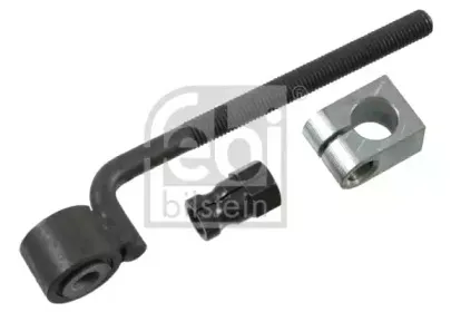febibilstein-08759