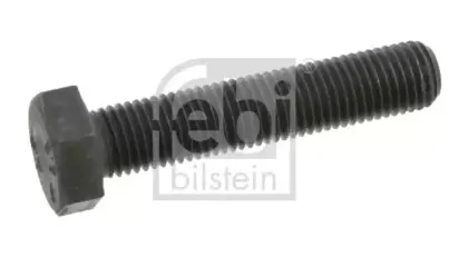 febibilstein-08813