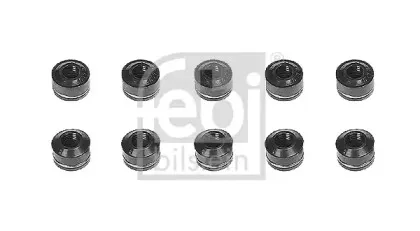 febibilstein-08911