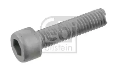 febibilstein-08953