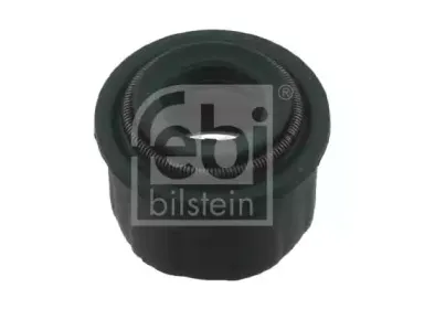 febibilstein-08970