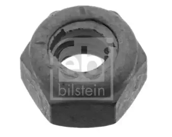 febibilstein-09098