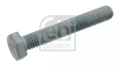 febibilstein-09417