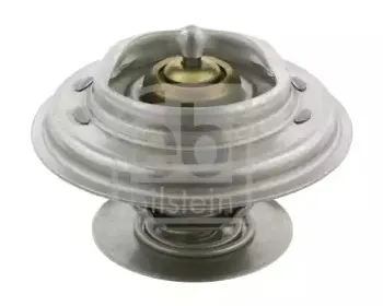 febibilstein-09676