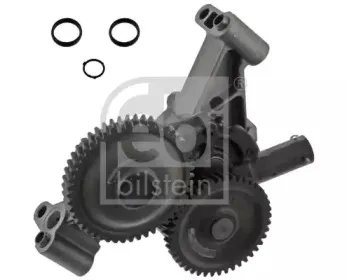 febibilstein-09976